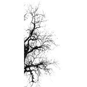 Tree Brushes